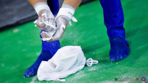 serie a2 ph simone ferraro sfa05956 copia